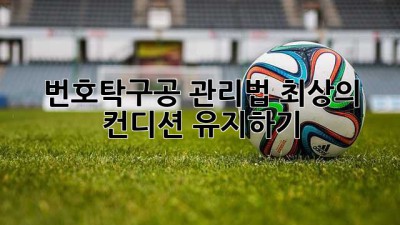 번호탁구공 관리법: 최상의 컨디션 유지하기
